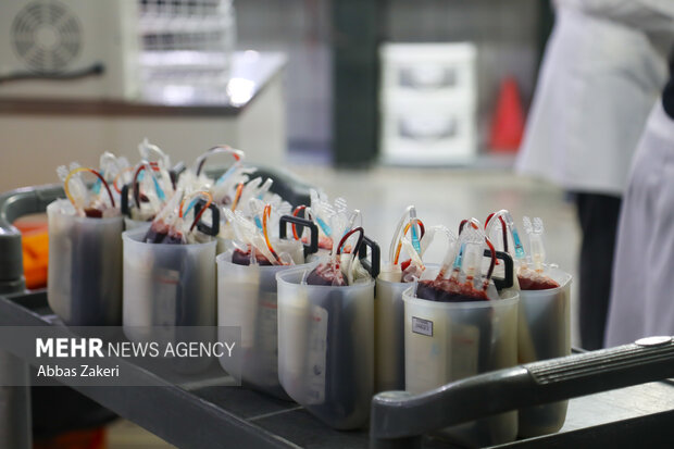 جاسوس نانویی در خون؛ هوش مصنوعی پرده از راز بیماری‌ها برمی‌دارد