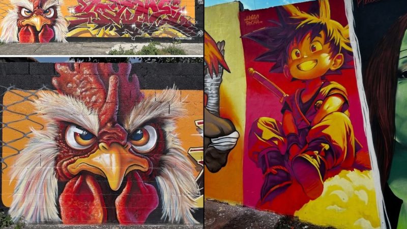 تصاویر؛ ۱۰ نقاشی خلاقانه در خیابان‌های برزیل؛ از «چشم روی سطل زباله» تا «آفتاب‌پرست نقاش»