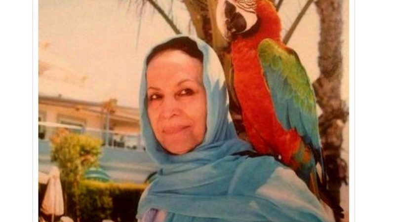 آزاده خورشیددوست دار فانی را وداع گفت