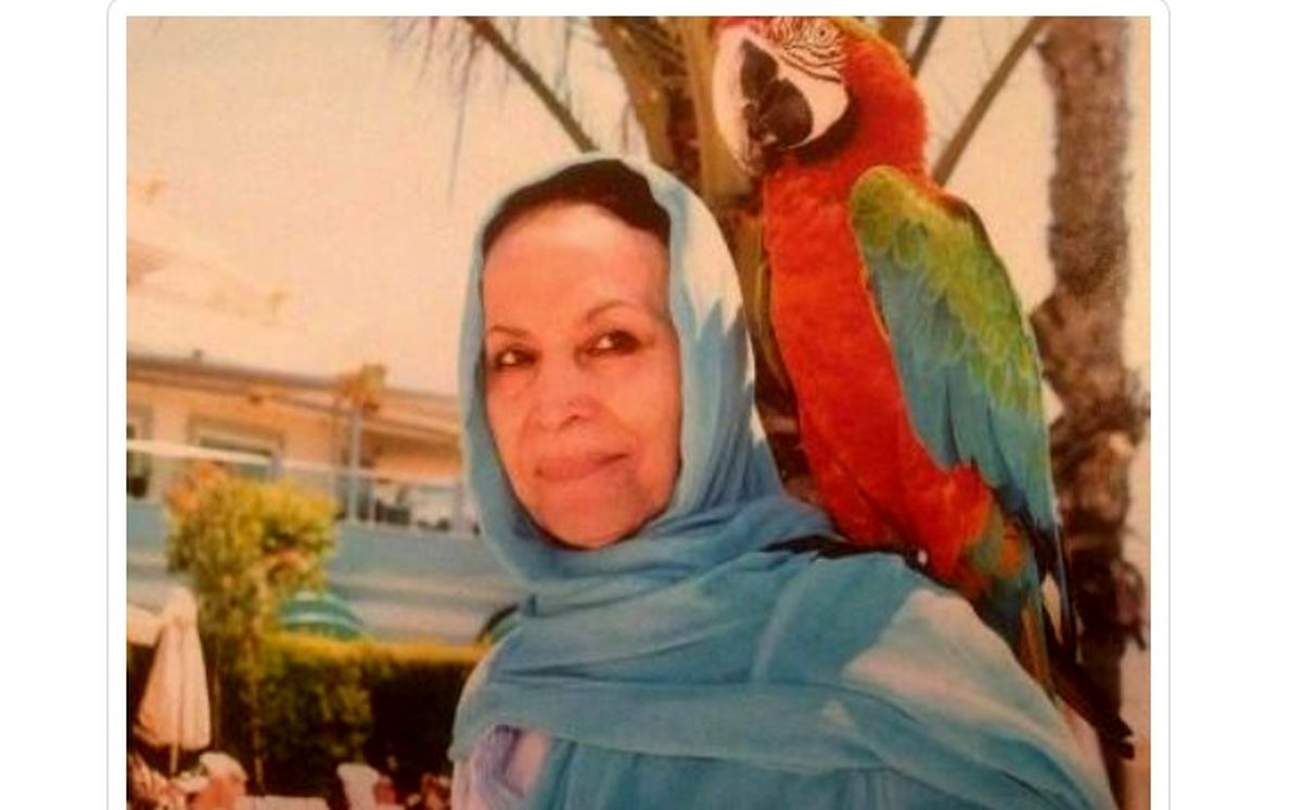 آزاده خورشیددوست دار فانی را وداع گفت