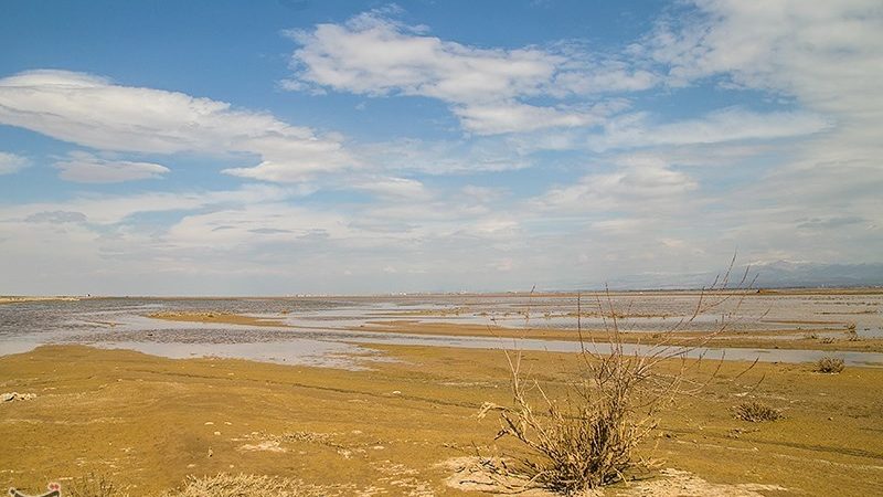 تهران تا پایان تابستان با پدیده گردوغبار درگیر خواهد بود