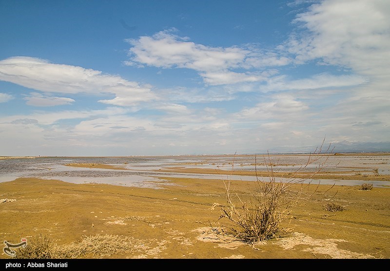 تهران تا پایان تابستان با پدیده گردوغبار درگیر خواهد بود