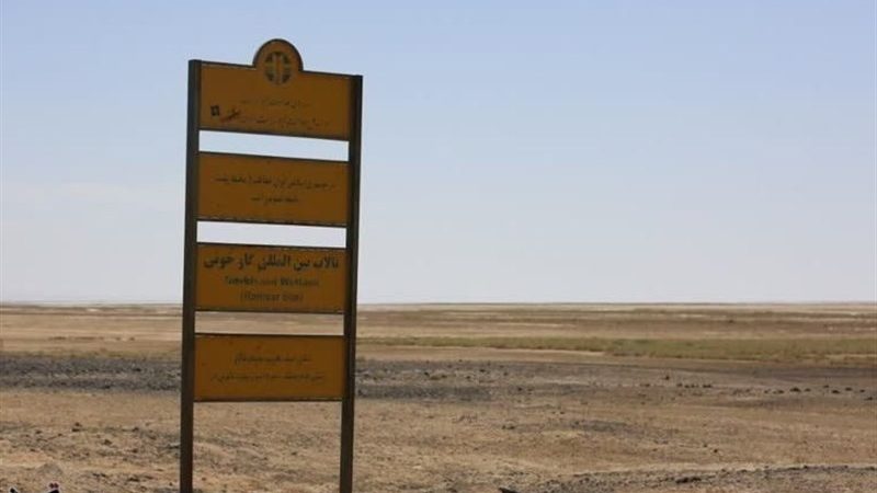 خشکی تالاب‌ها از دلایل اصلی تشدید گردوغبار/ تداوم طوفان ریزگرد در تابستان جاری