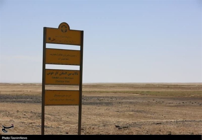 خشکی تالاب‌ها از دلایل اصلی تشدید گردوغبار/ تداوم طوفان ریزگرد در تابستان جاری