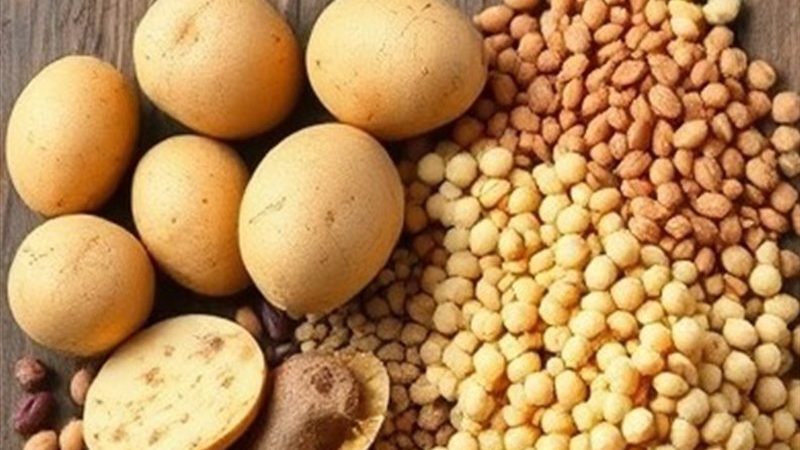 صادرات حبوبات ممنوع شد