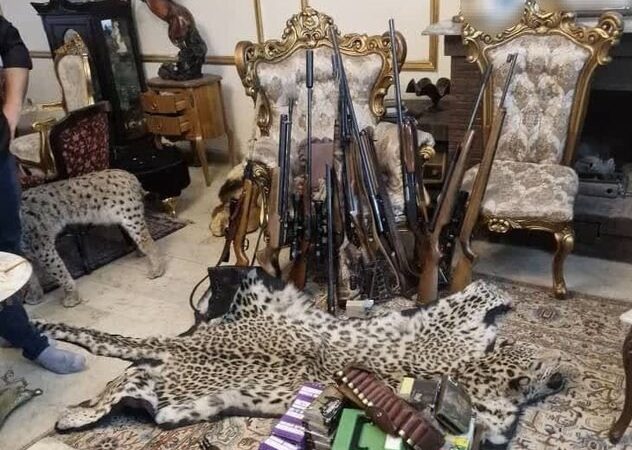 کشف محموله عظیم حیوانات تاکسیدرمی و سلاح‌های شکاری در تهران