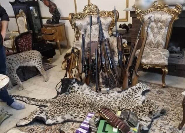 کشف محموله عظیم حیوانات تاکسیدرمی و سلاح‌های شکاری در تهران