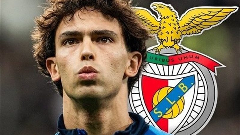 بنفیکا در پی جذب فلیکس