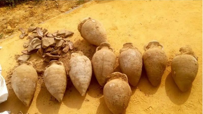 کشف گنجه هزارساله مدفون شده؛ ۱۹ کوزه پر از سکّه‌های رومی