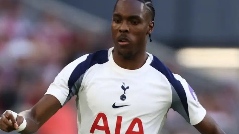 دفاع مهاجم تاتنهام از هم‌تیمی‌اش پس از حملات نژاد پرستانه