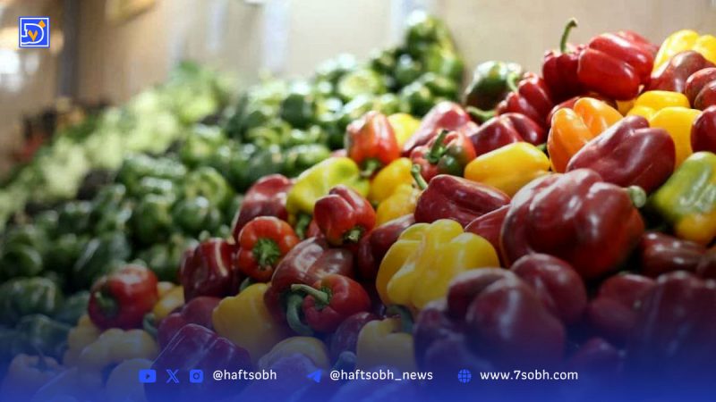 افتتاح ۴ بازار میوه و تره‌بار جدید در تهران/ توسعه بازارها با هدف «هر محله، یک بازار»