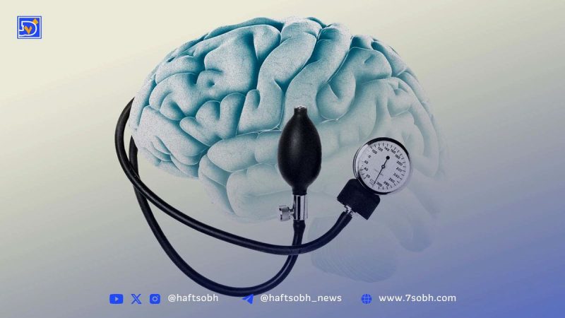 مصرف زیاد نمک چه بلایی بر سر مغز می‌آورد؟