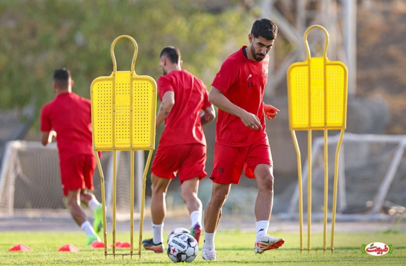 مشت‌های گره‌کرده شکاری در نقش جهان