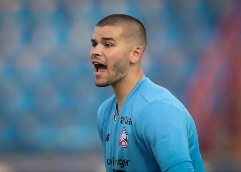 پایان کار دوناروما: شوالیه در پاریس