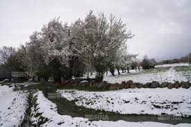 عکس دیده نشده از بارش شدید برف در چالدران