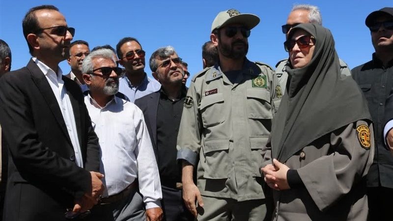 رئیس سازمان محیط زیست: یوز آسیایی در خطر انقراض دارد