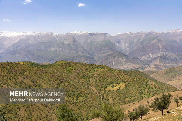 بهره‌کشی از زاگرس به نام بهره‌برداری