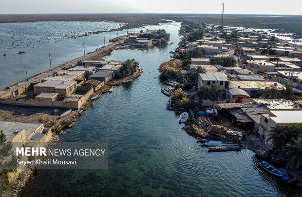 رها سازی ۱۲ هزار قطعه بچه ماهی به‌عنوان مجازات جایگزین حبس در شادگان