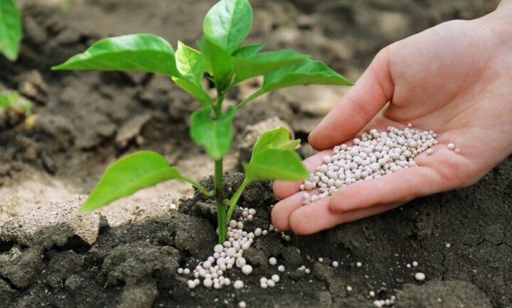 توزیع ۱.۱ میلیون تن کود یارانه‌ای طی پنج‌ماهه امسال