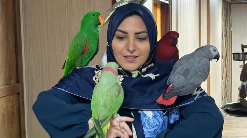 جسارت المیرا ‌| یکه‌تازی المیرا شریفی‌مقدم در شبکه‌های مجازی