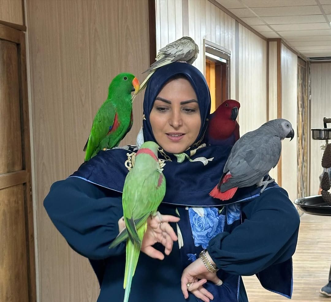 جسارت المیرا ‌| یکه‌تازی المیرا شریفی‌مقدم در شبکه‌های مجازی