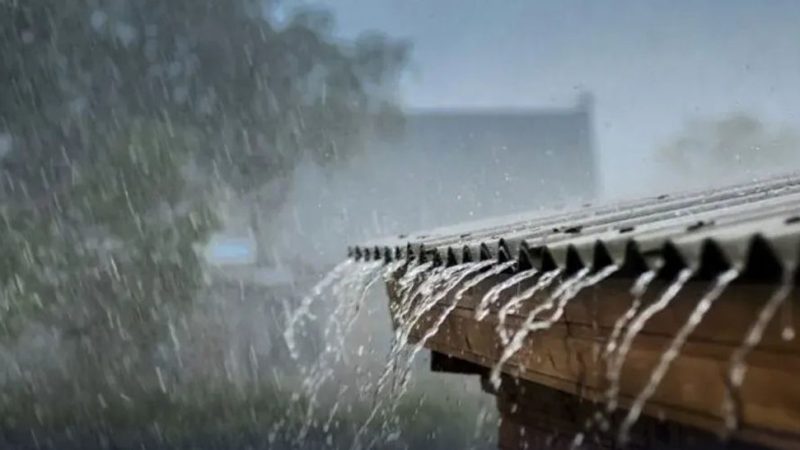 کاهش شدید دما در پایتخت / بارش باران در پایتخت