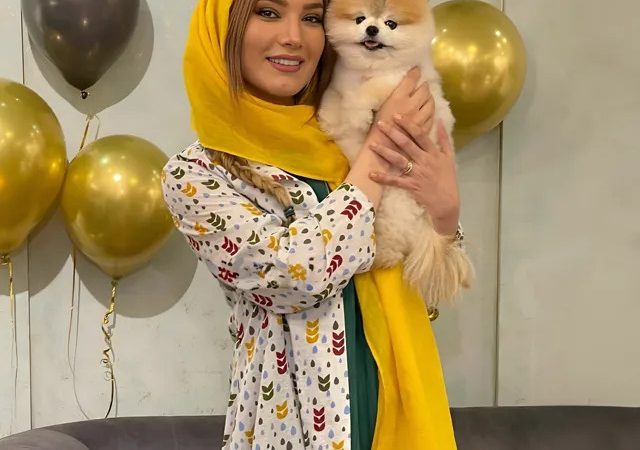 بیوگرافی متین ستوده و همه شوهران