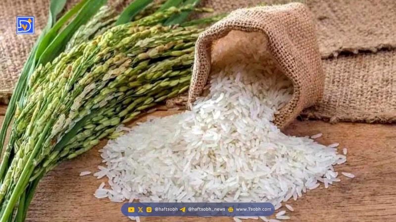 خطر پنهان «برنج گرم شده»: چرا گرم کردن مجدد برنج خطرناک است؟