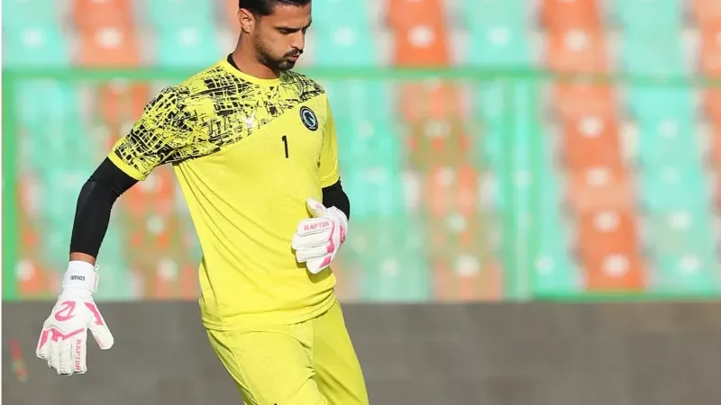 خودنمایی گوهری پیش چشم قلعه‌نویی