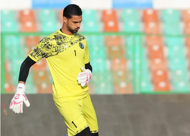 خودنمایی گوهری پیش چشم قلعه‌نویی