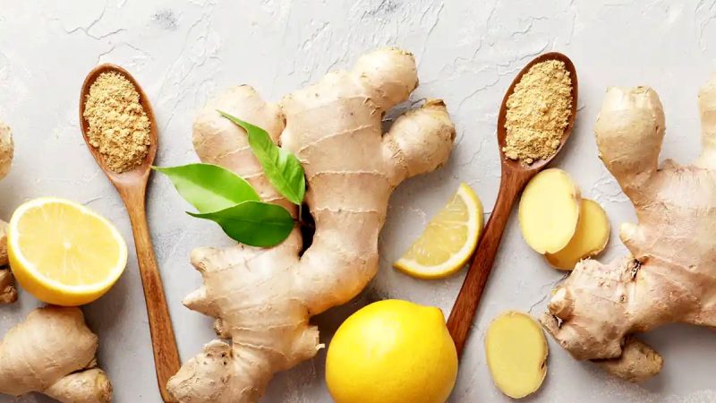 زنجبیل یک گیاه برای لاغری فوری + روش استفاده