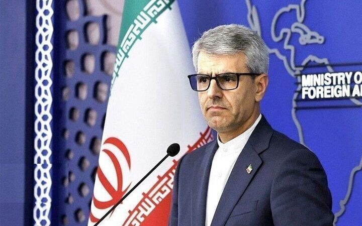بقائی: حمله رژیم صهیونیستی به کاروان دریایی الصمود را محکوم می‌کنیم