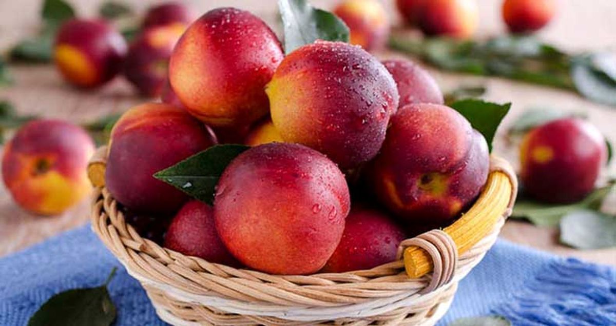 مصرف این میوه سبب افزایش متابولیسم بدن و لاغری می‌شود - اخبار