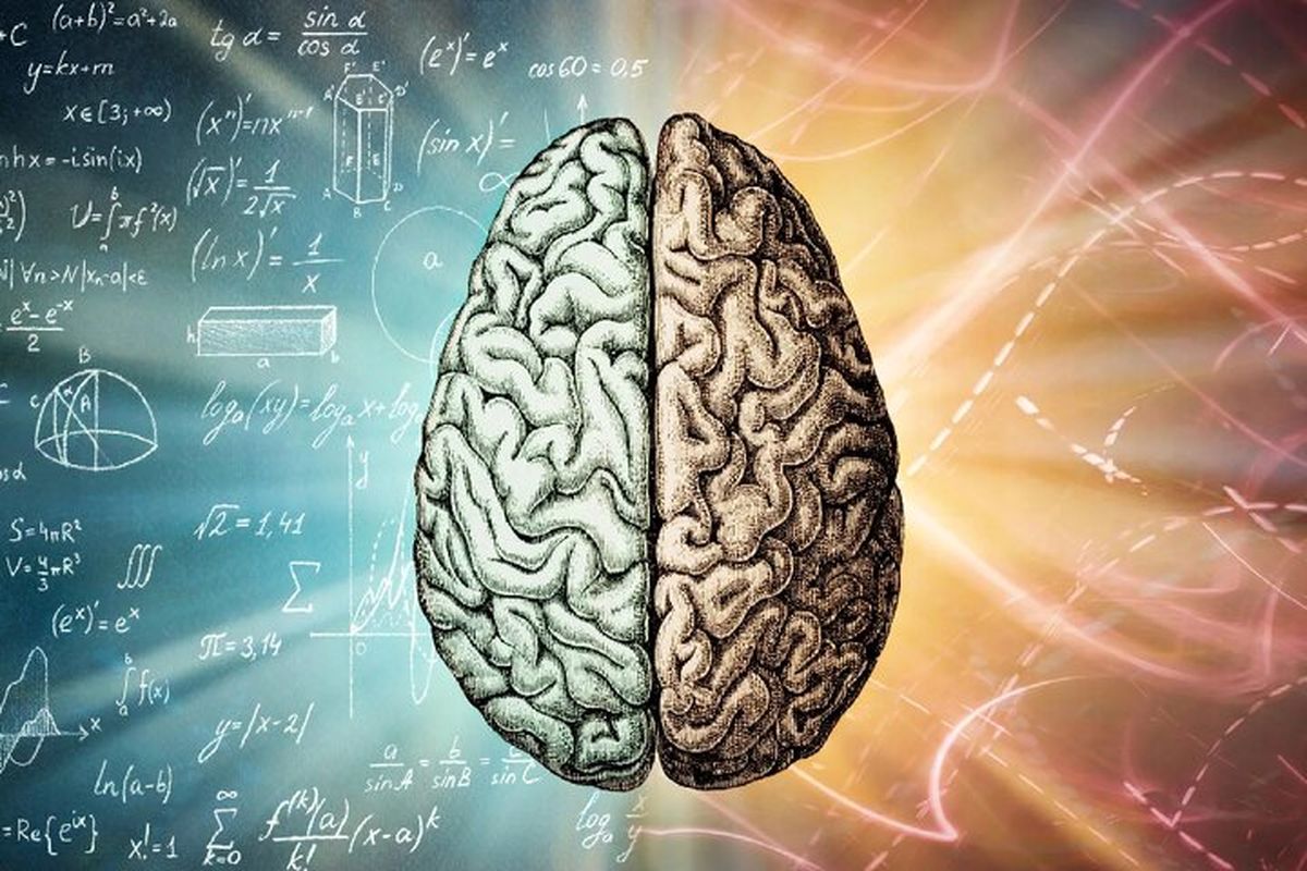 اوتیسم ممکن است بهای تکامل مغز انسان باشد