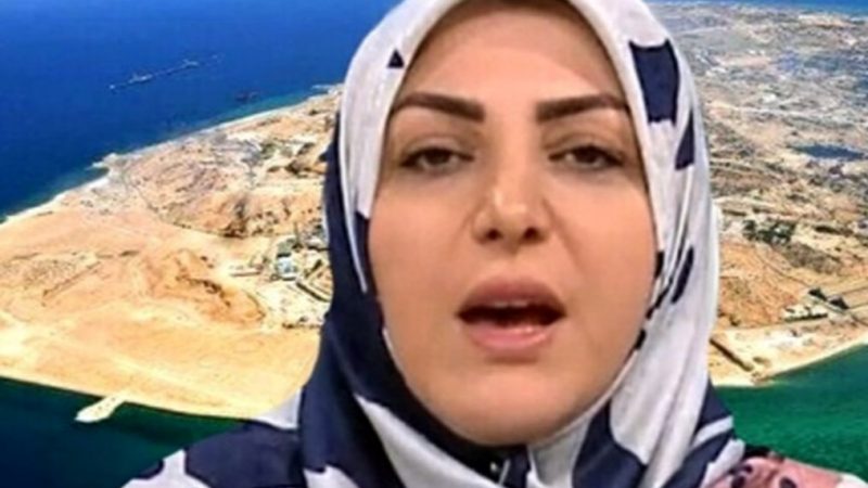 تودهنی المیرا شریفی مقدم به گنده گویی اروپا در مورد جزایر سه گانه +  شما غلط میکنید!