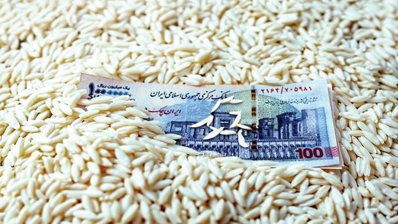 قیمت برنج، ترمز برید/ روش جدید دلالان برای گران‌فروشی