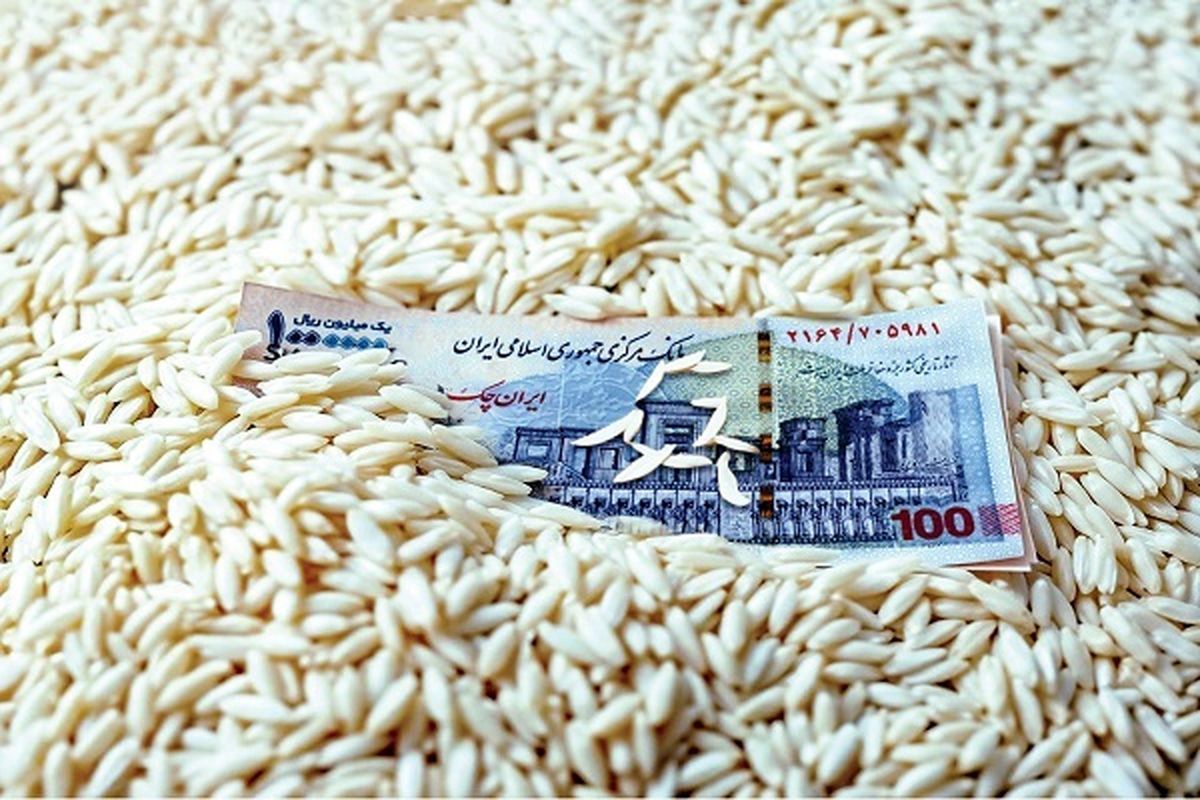 قیمت برنج، ترمز برید/ روش جدید دلالان برای گران‌فروشی
