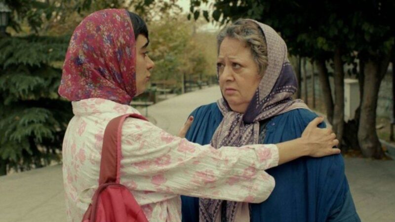 بیوگرافی لیلی فرهادپور بازیگر کیک محبوب من