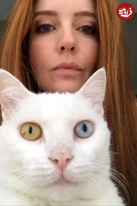 قاب تاریخ | «شیرین» سریال پس از باران در 21 سالگی در کنار «خسرو شکیبایی»