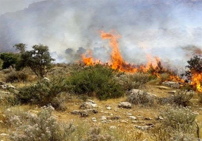 دستگیری عامل آتش‌سوزی‌ در جنگل‌های هیرکانی