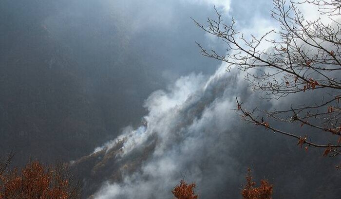 مهار ۸۰ درصد آتش‌سوزی در جنگل‌های هیرکانی