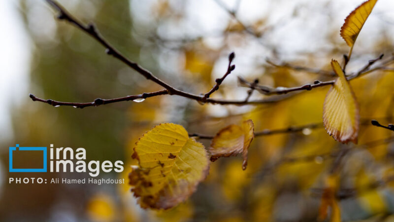 زمان دقیق شروع موج جدید بارش‌ها و کاهش آلودگی هوا اعلام شد