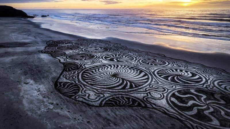 جادوی لحظه‌ای روی ماسه‌های برایتون؛ وقتی هنر با طبیعت هم‌نفس می‌شود