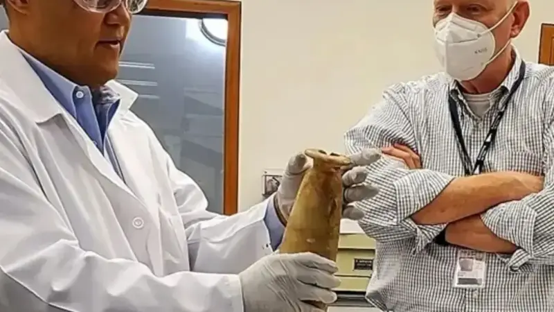 کشف شگفت‌انگیز: کوزه هخامنشی در مصر حاوی تریاک بود!