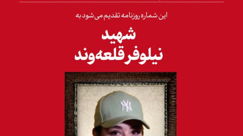 واکنش رسمی روزنامه دفتر رهبری به جنجال عکس شهید نیلوفر قلعه‌وند؛ پشت پرده انتخاب تصاویر چه بود؟