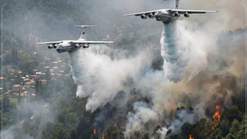 دلیل آتش‌سوزی جنگل‌های هیرکانی مشخص شد