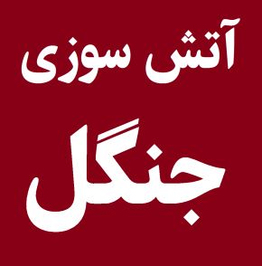 عامل آتش سوزی جنگل های هیرکانی بالاخره دستگیر شد