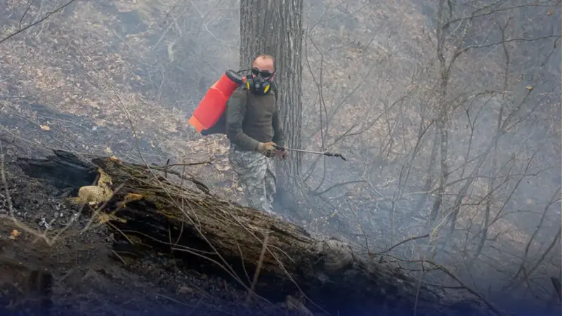 جدیدترین تصاویر از آتش سوزی جنگل های الیت + فیلم