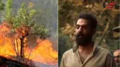 فریاد طبیعت هیرکانی در آتش؛ جنگل‌های کهن ایران در خطر جدی سوختن