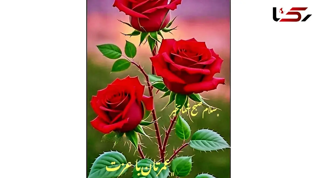 فال قهوه پنجشنبه ۱۵ آبان ۱۴۰۴